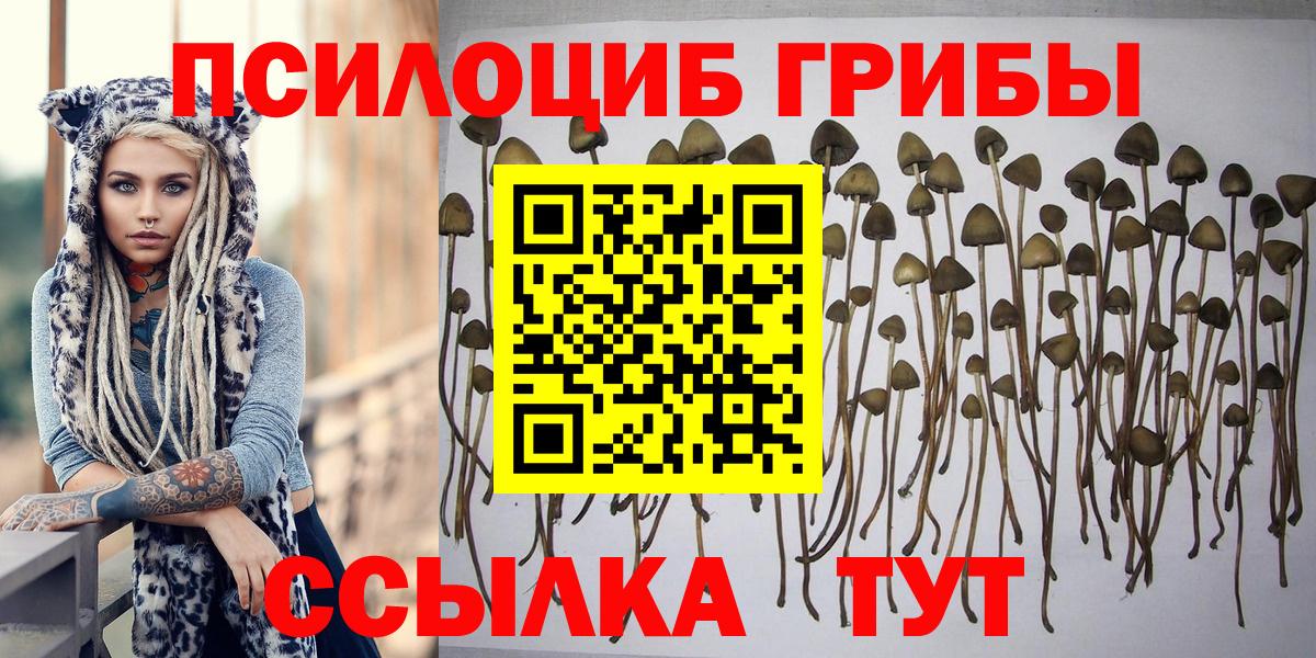 MDMA  МАРИХУАНА  ГАШИШ  Мефедрон  Вход с VPN  Архангельск  МЕТ  Гашиш  Меф   Кокаин  КОКАИН  NBOMe 