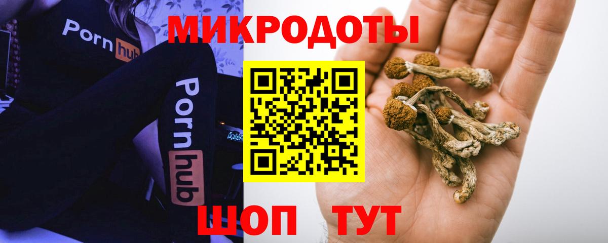 Галлюциногенные грибы мухоморы Архангельск