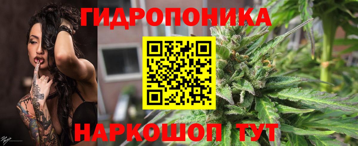 Марихуана план Архангельск